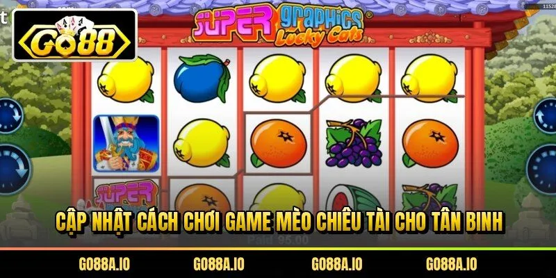 Cập nhật cách chơi game mèo chiêu tài cho tân binh