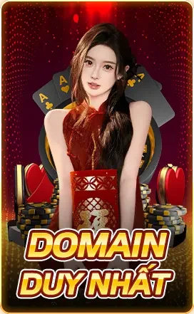 Image Domain Duy Nhất