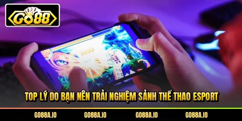 Top lý do bạn nên trải nghiệm sảnh thể thao Esport