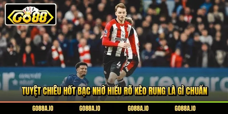 Tuyệt chiêu hốt bạc nhờ hiểu rõ kèo rung là gì chuẩn